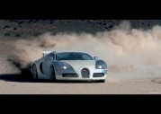 Bugatti Veyron Pur Sang